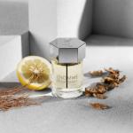 Yves Saint Laurent L'Homme EDT 100 ml Erkek Parfüm