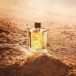 Hermes Terre D'Hermes Eau Intense Vetiver Edp 100 erkek parfüm