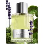 Tom Ford Beau De Jour EDP 100 ml Erkek Parfüm