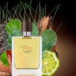 hermes terre d'hermes edt 100 ml erkek parfüm