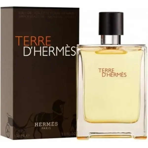 Hermes Terre D'Hermes Eau Intense Vetiver Edp 100 ml Erkek Parfümü
